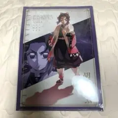 鬼滅の刃　胡蝶しのぶ　描き下ろし　クリアファイル　映画　無限城　劇場版　鬼滅ノ刃
