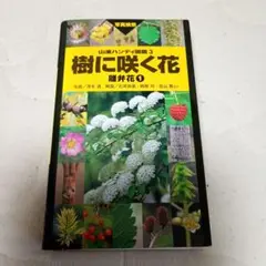 樹に咲く花 離弁花 1
