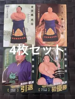 貴景勝　貴信　大相撲カードBBM