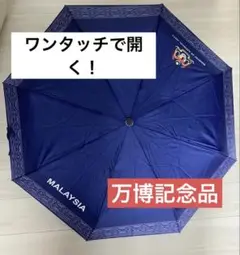 Item thumbnail for item d1120721-e0f8-42b0-8767-0e8f0e5fde84