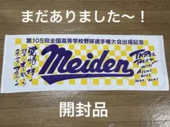 第105回 甲子園出場記念タオル 愛知代表　開封品