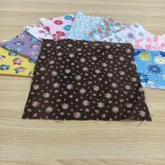 ★B179★ カットクロス/プリント生地/国産/25cm×25cm/10点