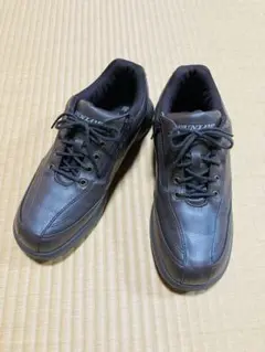 Item thumbnail for item 5458d702-781b-46d2-aa47-3fdfcdf19db4