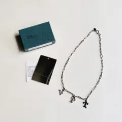 TOGA TPV chain ネックレス 本田翼着用 新品 箱付き TOGA チェーンネックレス 本田翼着用 完売品｜Yahoo