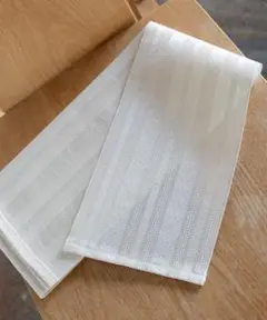 Item thumbnail for item 51f4ed68-ce11-4864-ba68-a33d9cc4a6ee