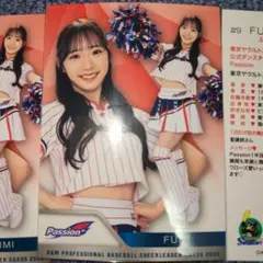 Item thumbnail for item fc8509ea-6ddb-408f-bd30-46011d841a6c