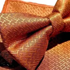 Item thumbnail for item 588677d3-a731-46ce-a55c-4756ca6bc552