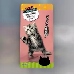 のび～るねこにゃん アメリカンショートヘア Ver3　シリーズ