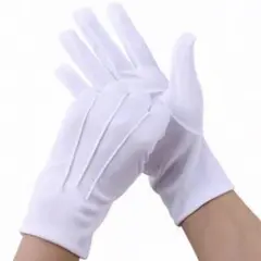 Item thumbnail for item b8389d44-5415-43b2-bdba-4a40d38c740e