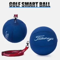 ゴルフ練習器具 キャンディボール ゴルフ スイング 矯正 ネイビー