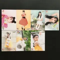 Item thumbnail for item 461a4986-3119-4460-b925-9db6b78efe59