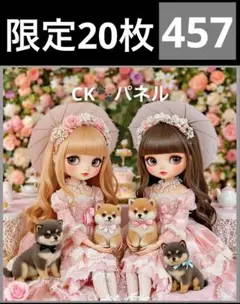 限定20枚　レアパネル生地　6柄セット　女の子と柴犬　パネル生地