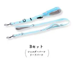 Item thumbnail for item b5bd626b-d653-4741-97c0-1ca42ef77ce1