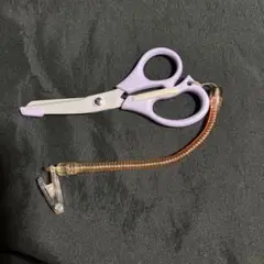 Item thumbnail for item ea60d838-952d-49b2-8ede-567552f0ef11