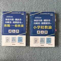 Item thumbnail for item 12018105-bf15-4b30-ab28-2ca8f9f69616