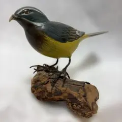 Item thumbnail for item 870242d0-a375-40cb-a29d-9b6014514743