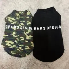 Item thumbnail for item 46704068-b8e5-46fe-a233-fd5255c22d78