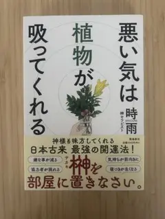 悪い気は植物が吸ってくれる