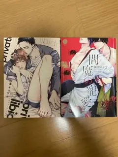 BLコミック　まとめ売り　セット