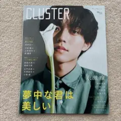 CLUSTER Vol.13 永瀬廉