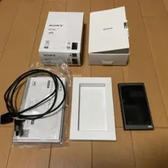【google 様専用】 SONY ウォークマン Aシリーズ NW-A45(B)