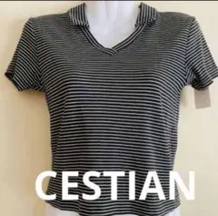 CESTIAN ストライプ 半袖ポロシャツ