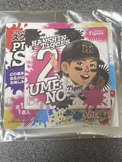 阪神タイガース　梅野隆太郎　プレイヤーズスクエア缶バッジ　マッカノーズ　①