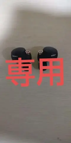 SONY WF-1000XM4 イヤホンのみ
