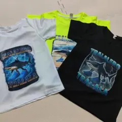 サメデザインTシャツ3枚セット