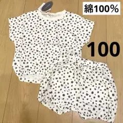 Item thumbnail for item bcca0e6d-ca20-48a0-8588-03d67a76dec6