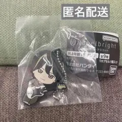 Novelbright ノーベルブライト カプセルラバーマスコット ガチャ　圭吾