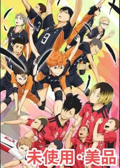 ハイキュー 終わりと始まり 正篇DVD 新品未開封 美品