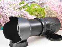 Item thumbnail for item 842892f9-f16e-43d5-a5ab-42eaa1db2675