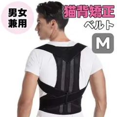 Item thumbnail for item 19b51a76-43c0-43d4-8293-b5329713d95b