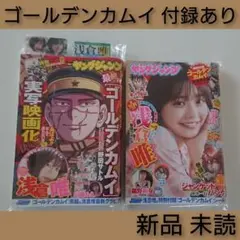 ヤングジャンプ ゴールデンカムイ 最終回 特別付録付