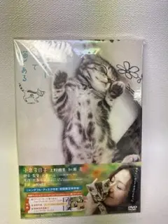 グーグーだって猫である　特別版　DVD