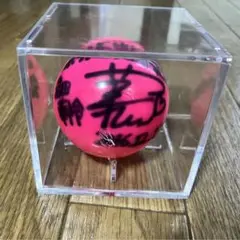 AKB48 - 超希少品 レア AKB48 Team K 直筆サイン入り フットサル ボール AKB48 - 超希少品 レア AKB48 Team K 直筆サイン入り フットサル