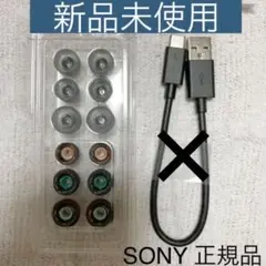 SONY WF-1000XM3 純正イヤーピース タイプCケーブル 未使用品