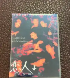恋人よ DVD-BOX〈4枚組〉 恋人よ DVD-BOX 鈴木保奈美 鈴木京香 本編全話 日本ドラマ 4枚組