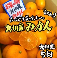 九州産◎みかん 5kg 家庭用 甘い 美味しい◎