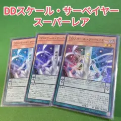 遊戯王　DDスケール・サーベイヤー　スーパーレア　3枚セット