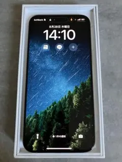 iPhone 15 Pro Max 1TB SIMフリー 本体 動作良好