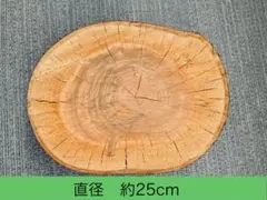 Item thumbnail for item bf28f55b-8dfc-4037-aa26-945032f3279b