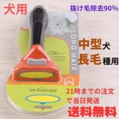 Item thumbnail for item 2d70b8e9-33f2-4da6-b95f-860a1a2f5b5a