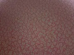 Item thumbnail for item 3503c590-4315-499f-a3b1-501591407aa4