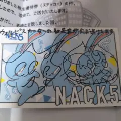ウォルピスカーター 中川翔子 しょこたん 直筆サイン