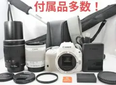 Item thumbnail for item bca79b0c-010c-4e2b-bea6-e1e6a687dc47