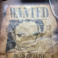 ニコ・ロビン Wantedポスター