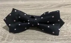 Item thumbnail for item 4ca5d454-fd4c-41ee-824f-e2ceb42a1780