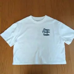 オーシャンパシフィック　Tシャツ　М　白